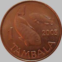 1 тамбала 2003 Малави. Тилапия.