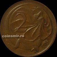 2 цента 1972 Австралия. Плащеносная ящерица.
