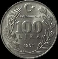 100 лир 1987 Турция.