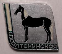 Значок Ахалтекинская.
