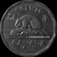5 центов 1955 Канада. Бобр.