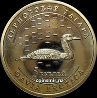 5 рублей 2013 Удмуртия. Чернозобая гагара.