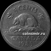 5 центов 1985 Канада. Бобр.