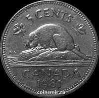 5 центов 1981 Канада. Бобр.