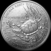1 рубль 2018 Приднестровье. Болотная черепаха.