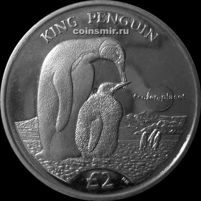 2 фунта 2012 Южная Георгия и Южные Сандвичевы острова. Королевский пингвин.