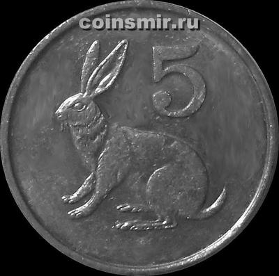 5 центов 1999 Зимбабве. Заяц.