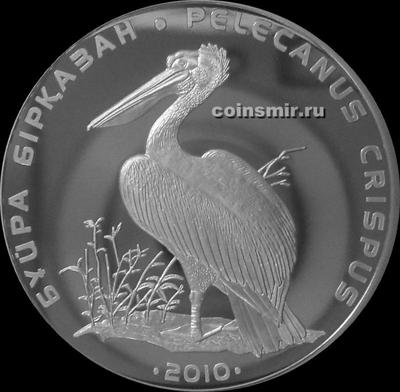 500 тенге 2010 Казахстан. Кудрявый пеликан. 
