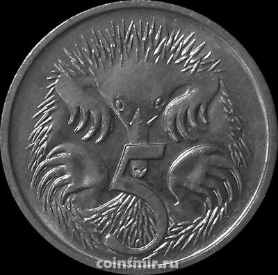 5 центов 1993 Австралия. Ехидна.