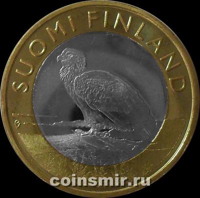 5 евро 2014 Финляндия. Орлан-белохвост.