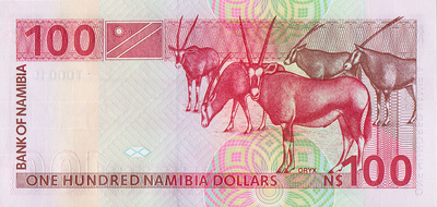 100 долларов 1993 Намибия.