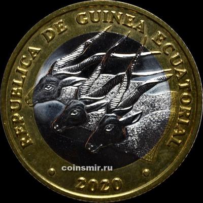 1000 франков 2020 Экваториальная Гвинея. Антилопы.