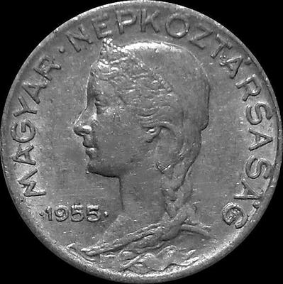 5 филлеров 1955 BP Венгрия.