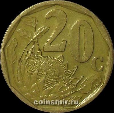 20 центов 1999 Южная Африка. Протея. Aferika Borwa.