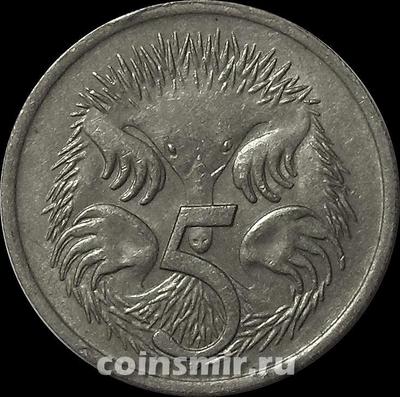 5 центов 1966 Австралия. Ехидна.