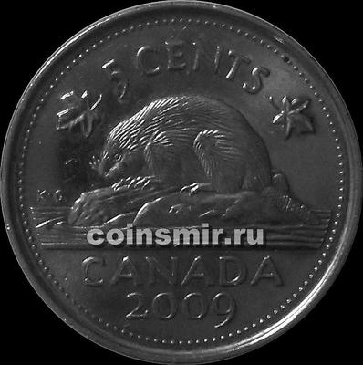 5 центов 2009 Канада. Бобр.