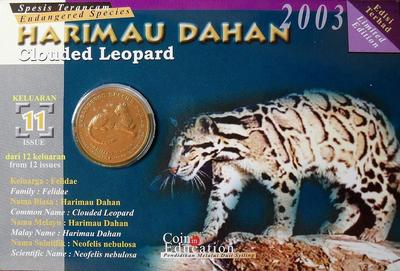 25 сен 2003 Малайзия. Дымчатый леопард.