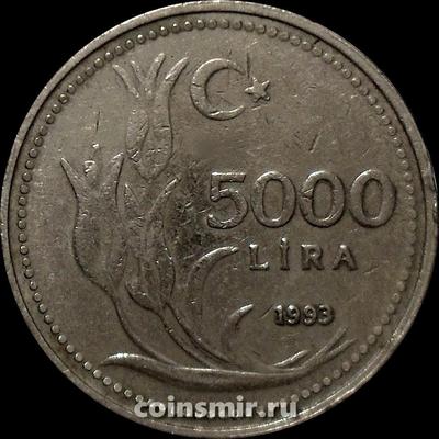 5000 лир 1993 Турция.