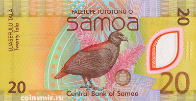 20 тал 2023 Самоа.
