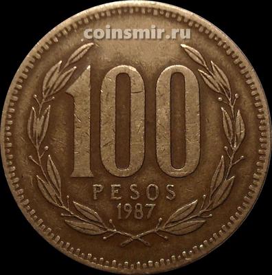 100 песо 1995 Чили.