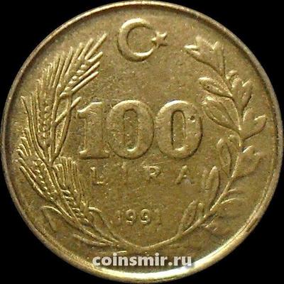 100 лир 1991 Турция.