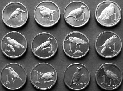 Набор из 12 монет 2020 Самоа. Птицы.