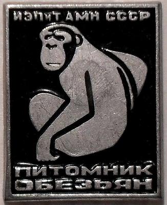 Значок ИЭПиТ АМН СССР. Питомник обезьян.