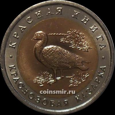 10 рублей 1992 ЛМД Россия. Краснозобая казарка. Красная книга.