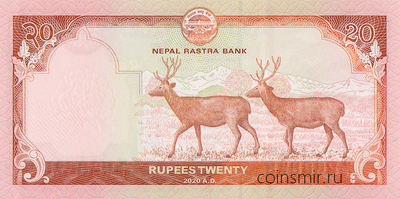 20 рупий 2020 Непал.