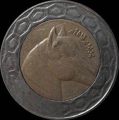 100 динар 2013 Алжир. Лошадь.