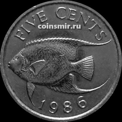 5 центов 1986 Бермуды. Королевская рыба-ангел.