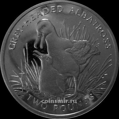 2 фунта 2006 Южная Георгия и Южные Сандвичевы острова. Сероголовый Альбатрос.