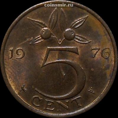 5 центов 1976 Нидерланды.