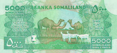 5000 шиллингов 2012 Сомалиленд.