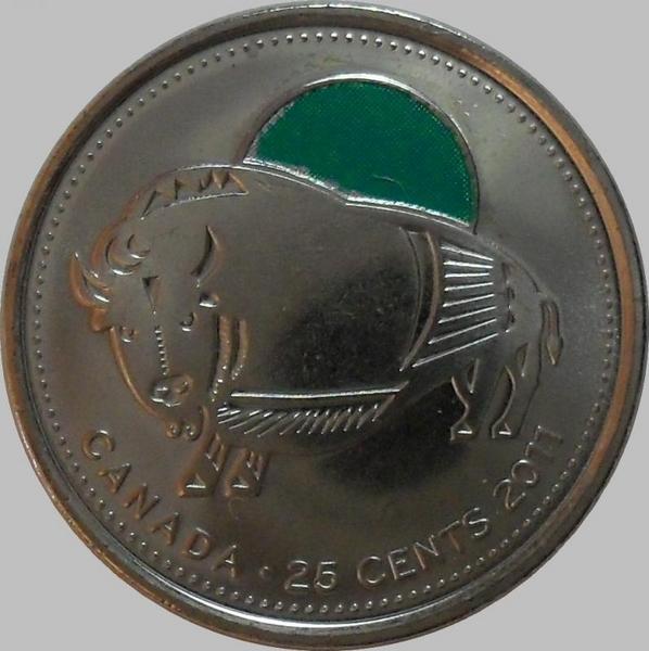 25 центов 2011 Канада. Бизон.Цветная эмаль.
