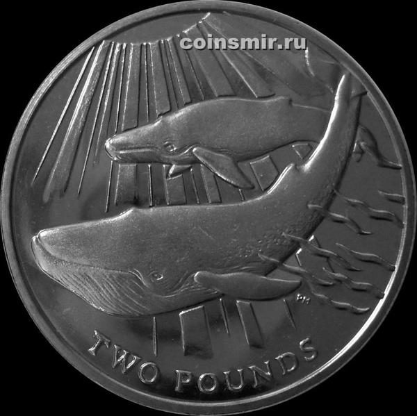 2 фунта 2013 Южная Георгия и Южные Сандвичевы острова. Синий кит.