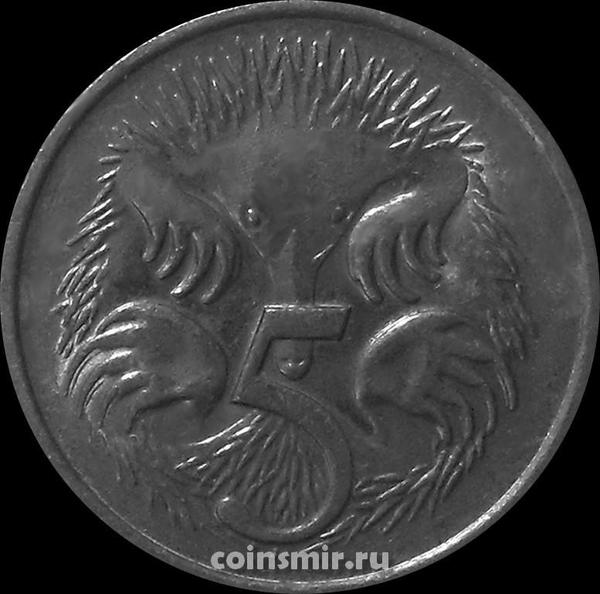 5 центов 1981 Австралия. Ехидна.