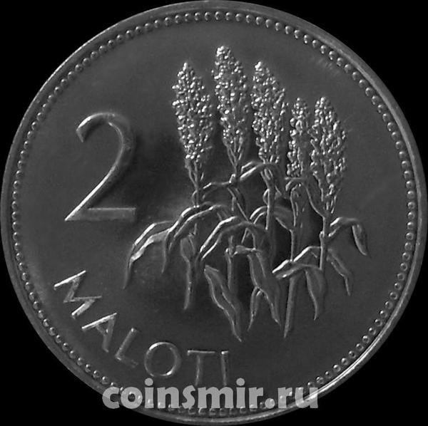 2 малоти 1998 Лесото. Соцветия кукурузы.