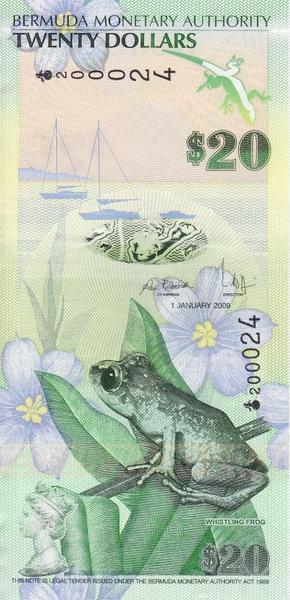20 долларов 2009 Бермуды. 