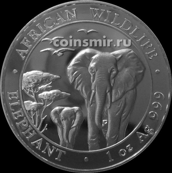 100 шиллингов 2015 Сомали. Слоны.