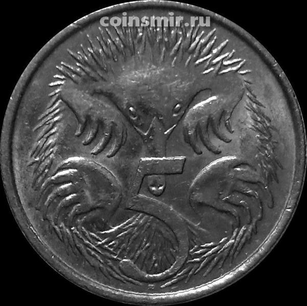 5 центов 2010 Австралия. Ехидна.