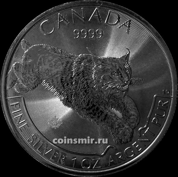 5 долларов 2017 Канада. Рысь.
