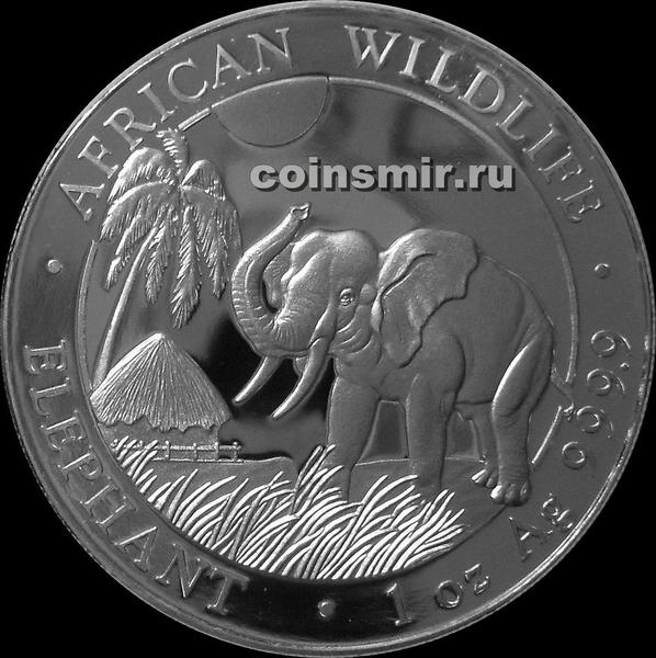 100 шиллингов 2017 Сомали. Слон.