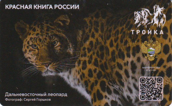 Карта Тройка 2023 V. Красная книга России. Дальневосточный леопард.