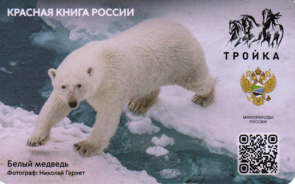 Карта Тройка 2023 V. Красная книга России. Белый медведь.