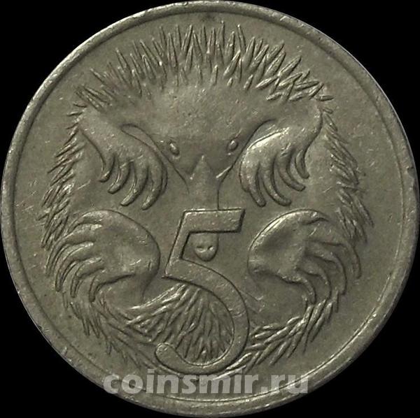 5 центов 1977 Австралия. Ехидна.