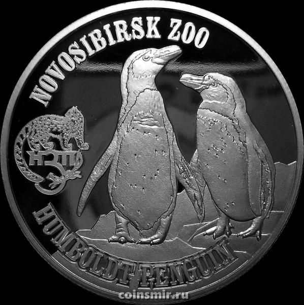 1 доллар 2017 Британские Виргинские острова. Новосибирский зоопарк. Пингвины Гумбольдта.
