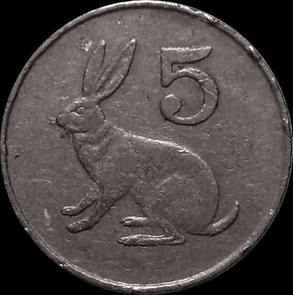 5 центов 1990 Зимбабве. Заяц.