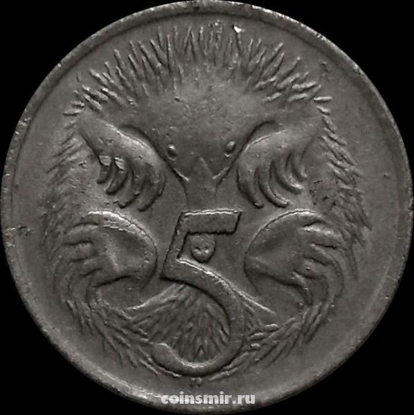 5 центов 1980 Австралия. Ехидна.