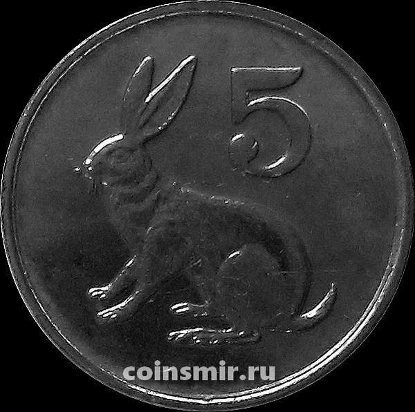 5 центов 1997 Зимбабве. Заяц.